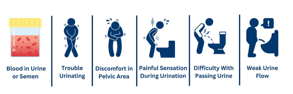 Common prostate cancer symptoms such as difficulty urinating, weak urine flow, and blood in urine or semen.