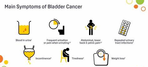 Recent Advances in Kidney Cancer Treatment